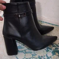 پوتین|کیف، کفش، کمربند|اردبیل, |دیوار