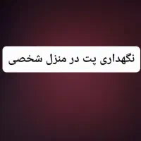 سگ گربه پنده