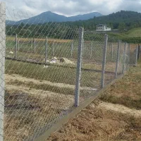 فنس کشی کامل شموشک