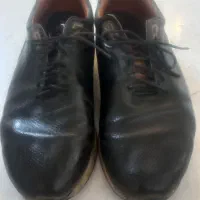 2عدد کفش مردانه|کیف، کفش، کمربند|ری, شهادت|دیوار