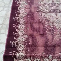 گلیم فرش|گلیم، جاجیم، گبه|قرچک, مهدیه|دیوار