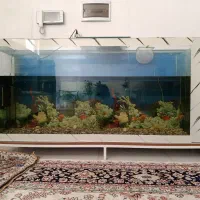 آکواریوم لوکس همراه با ماهی