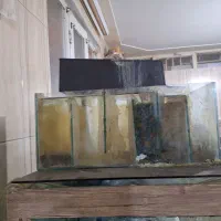 اکواریوم با تمام وسایل|ماهی|کرمانشاه, |دیوار