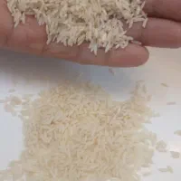 برنج محلی بدون کود بدون دوا