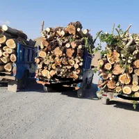 خریدانواع چوب خشک تر