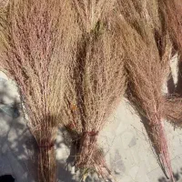 جارو محلی|لوازم نظافت|خرم‌آباد, |دیوار