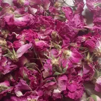 گل محمدی|خوردنی و آشامیدنی|شیراز, کیان شهر|دیوار