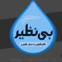 کار خانه قالی شویی بی نظیر