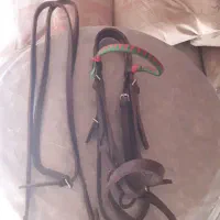 تجهزات‌اسب|اسب و تجهیزات اسب‌سواری|مشگین شهر, |دیوار