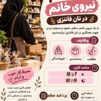 استخدام نیرو در نان فانتزی فتحی