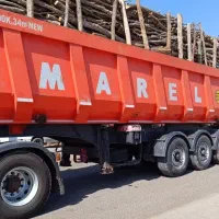 خریدار چوب های باغی|خدمات باغبانی و درختکاری|لردگان, |دیوار