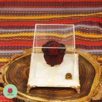 باکس گل رز جاودان طبیعی پایه سنگی برای هدیه تولد|گل و گیاه طبیعی|تهران, دولاب|دیوار