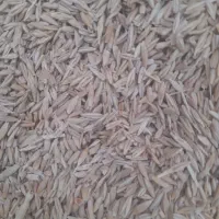 جو محلی شونه