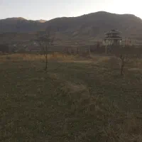 زمین2440 متری باغی بر جاده سنقر اسد آباد