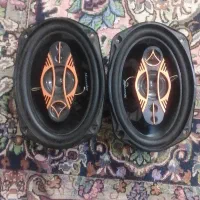 بلندگو بیضی مکسیدر