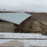 گاوداری صنعتی