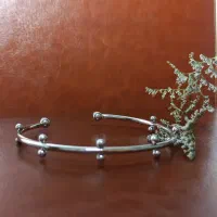 بدلیجات|بدلیجات|بیرجند, |دیوار