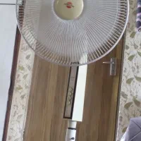 پنک پای بلند سالم