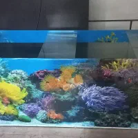 آکواریوم دست‌ساز