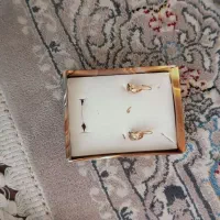 یک جفت گوشواره به قیمت تابلو