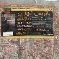 فرش ۷۰۰ شانه|فرش|لاهیجان, کوی استادان|دیوار