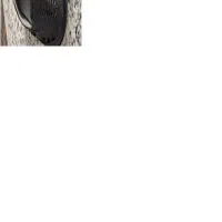 کفش زنانه چرم نو سایز 40