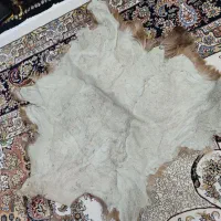 پوست بز نو|صنایع دستی و سایر لوازم تزئینی|کرمانشاه, |دیوار