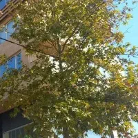 سه-خواب-200-متری-حیاط-اختصاصی-درب-ساختمان