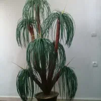 نخل مصنوعی ۵۰۰
