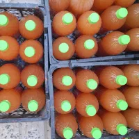 سرکه سیب طبیعی