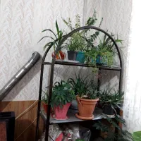 استند|کتابخانه، شلف، قفسههای دیواری|گلبهار, شهر جدید گلبهار|دیوار