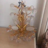 دو عدد لوستر ابکاری