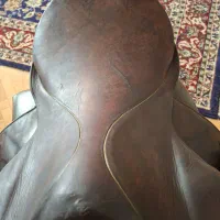 زین اشتوبن پشت گرد و سالم