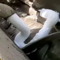 فوم بتن