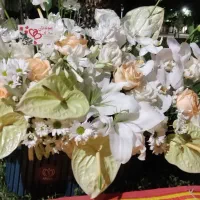 گل روز طبیعی . باکس گل