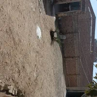 خانه‌۲۱۳متری‌۷۰مترزیربنادرنصرت‌ابادخاش‌تابلو‌نصرت‌|فروش خانه و ویلا|خاش, |دیوار