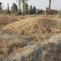 فروش کاه