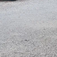 فروش پارس ۴۰۱ موتور زیمنس گاز سیمی