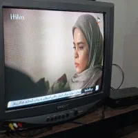 تلوزیون