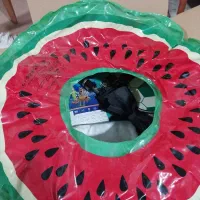 تیوپ بادی کوچک نو هستش