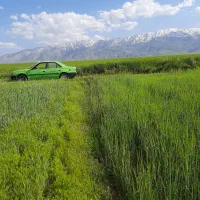 زمین دیم کشاورزی|فروش دفتر صنعتی، کشاورزی، تجاری|نهاوند, |دیوار