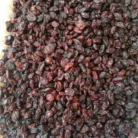 کشمش انگور قرمز آفتاب خورده و کاملا طبیعی|خوردنی و آشامیدنی|ایوان, |دیوار