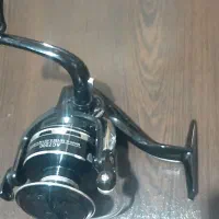 لنسر ماهیگیری