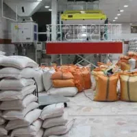 برنج هاشمی  طارم  صدری عنبربو  فجر  ندا  شیرودی|خوردنی و آشامیدنی|اردبیل, |دیوار