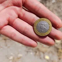 سکه|کلکسیون سکه، تمبر، اسکناس|بجنورد, |دیوار