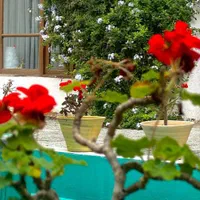 استخدام سرایدار بدون بچه برای منزل مسکونی