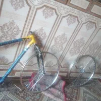 تنه اساک سری اول ۲۴