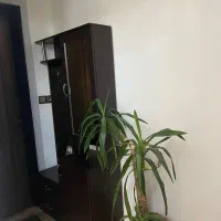 جاکفشی