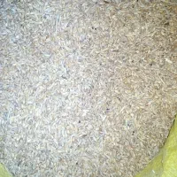 گندم دیمی گنداب|عمده‌فروشی|دره شهر, |دیوار