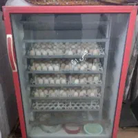 دستگاه جوجه کشی تمام اتومات